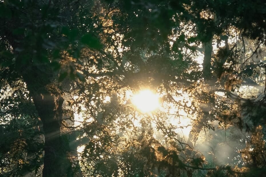apelacion a la naturaleza, significado y ejemplos