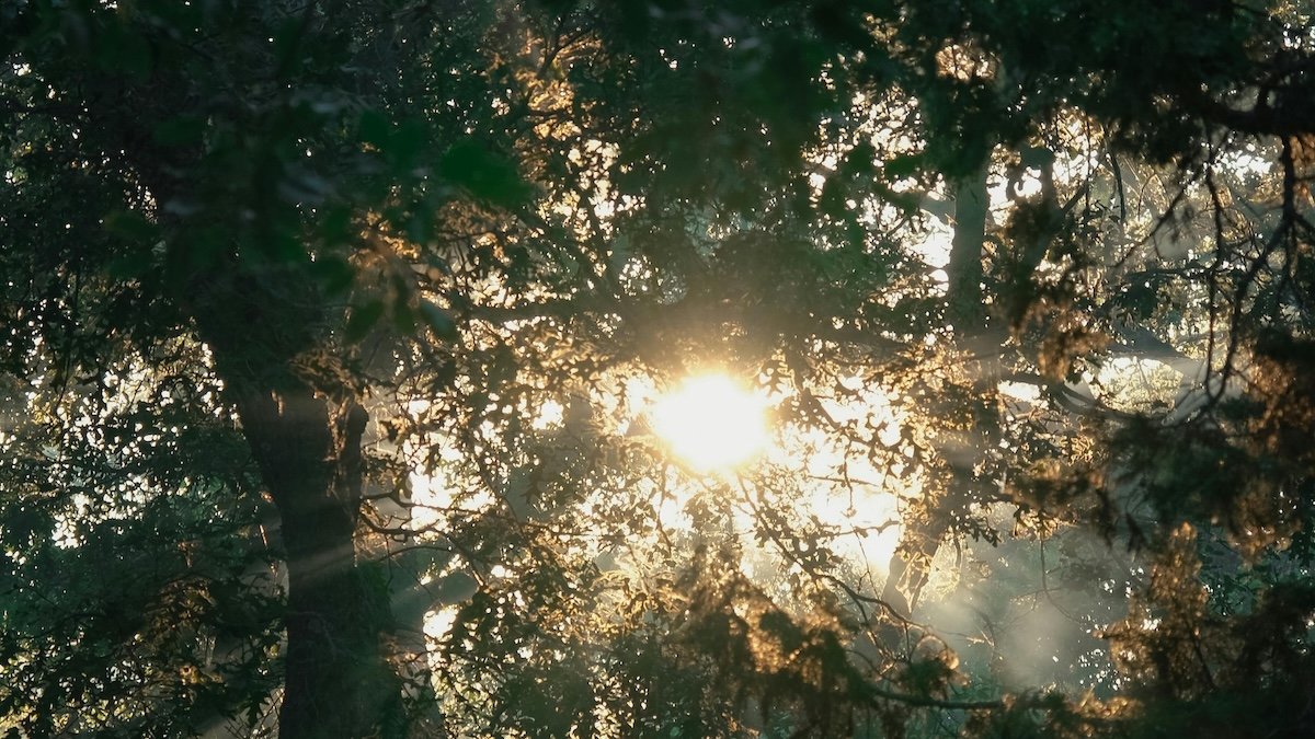 apelacion a la naturaleza, significado y ejemplos